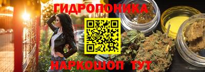 шишки Пушкино