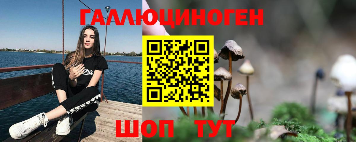 Галлюциногенные грибы MAGIC MUSHROOMS  Вход с VPN  Псилоцибиновые грибы прущие грибы  Сегежа 