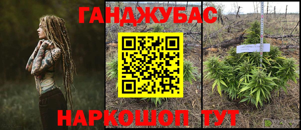 Бошки марихуана конопля  Вход с VPN  Сегежа  Марихуана Bruce Banner 
